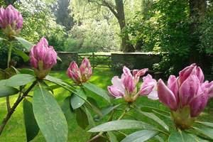 Les-Tilleuls-Bed-Breakfast-a-Vielsalm-exterieur