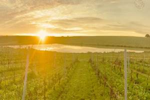 Domaine Laougué - hiver