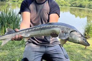 IMG_20250610_173801 (1)