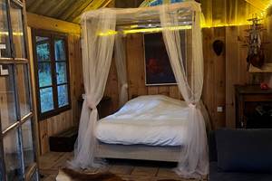 CABANE_FORET_ARBRE_BEARN_BASQUE_64 (1)