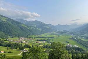 IMG_8878