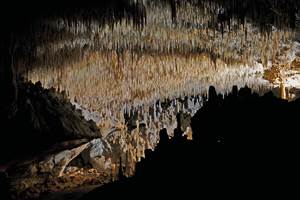 Grottes de cougnac - Gourdon - plafond concretions