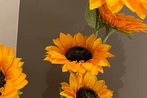 Bouquet de Tournesol