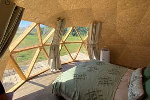 le dome