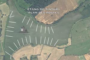 @carpe @pêche @étang @nièvre @tintury @session