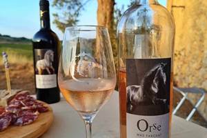 Dégustation de vin et tapas au Mas Farchat