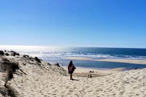 plage de la côte sauvage