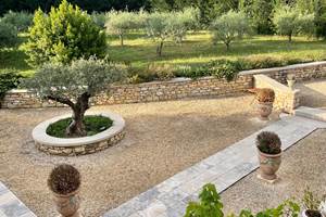 Les oliviers de la Serre des Mourgues