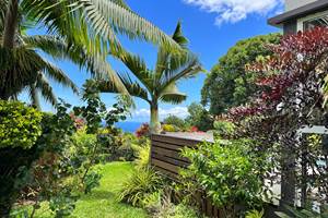 Jardin tropical
