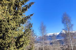 IMG_20230129_115540