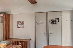 IMG_20250406_174749