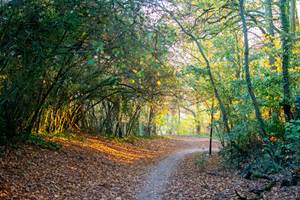 Sejour-dans-le-Parc-naturel-regional-de-la-Haute-Vallee-de-Chevreuse