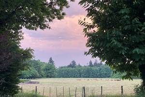A view over the fields