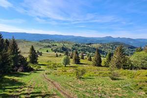 Gite-de-groupe-alsace-vosges-vue-sur-vallée-de-la-bruche