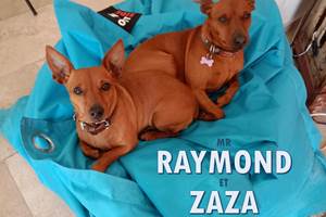 RAYMOND ET ZAZA