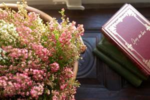 location 1 (7) (Copier) (Copier)