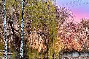 Jardin coucher de soleil_La Cavalerie