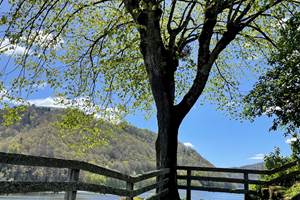 gite_correze_pierres_barragedebort-nature