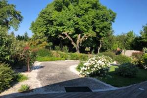 vue sur les tilleuls centenaire