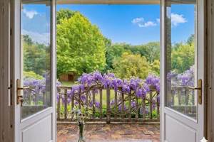 studio platane vue du balcon