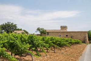 Terrasse aménagée au calme avec vue sur les vignobles du Languedoc