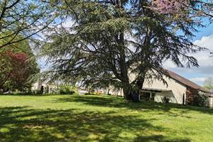 NOTRE GRAND JARDIN ARBORE PARTAGE