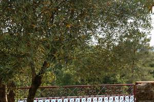 Les_sources_gite_de_charme_Objat_correze_piscine_x_Nastasia_Papiez-358