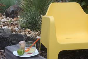 Villa Lagon apéro time dans le jardin d'ornement