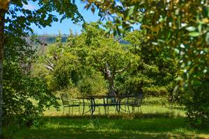 Votre table de de´jeuner sous les tilleuls a` la Bastide du Claus