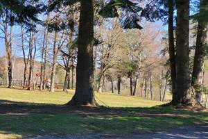Gîte n°19G4263 "Les Myrtilles" – SORNAC