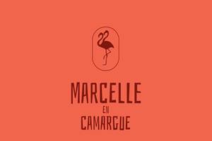 Marcelle en Camargue Maison d'hôtes au coeur des remparts
