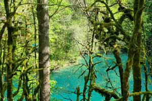 Gîte Ainerak, Pays Basque, Pyrénées, Soule, Kakouetta, La Verna, Sainte Engrâce, la Pierre St Martin