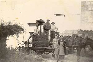 vin-pays-doc-argeles-sur-mer (1)
