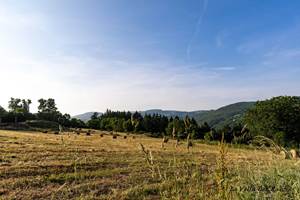 Ambiance champètre