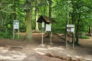 bois de la Vecquée, départ de sentiers