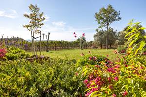 Domaine des Perirecedes BD-0139