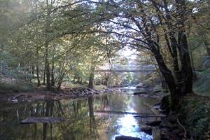 La passerelle du sentier "Dans les pas de Monet"