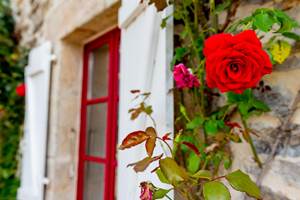 Gîte n°19G5472 "Aumont & Merveilles" – ARGENTAT SUR DORDOGNE