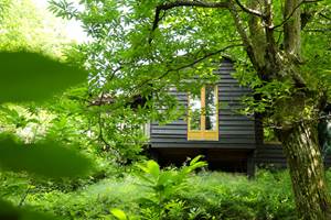 Chalet Canopée, la tête dans les châtaigniers