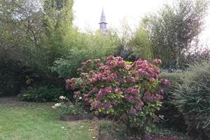 Chambre d'hôtes n°22G320896 "Le Clos des Hortensias" – PLEMY