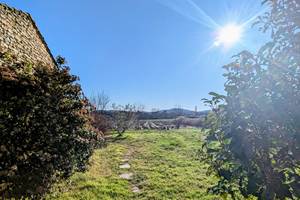 Les moutons dans les vignes