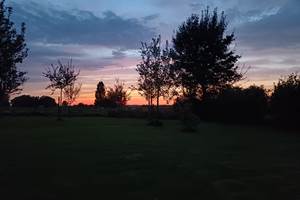 jardin vu du balcon le soir - coucher de soleil