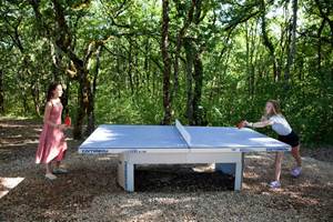 Partie de ping pong endiablée