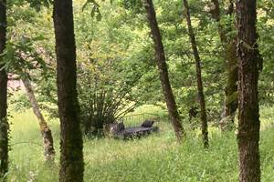 La banquette sous les arbres