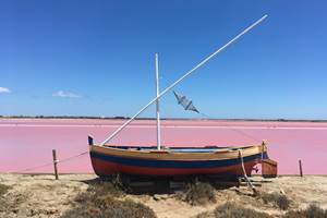 SALINS 1