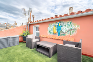 rooftop-prive-mur-fresque-artistique-gite-olonzac
