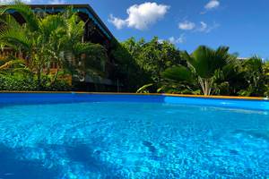 Vue de la piscine vers la maison