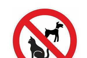 animaux non autorisés