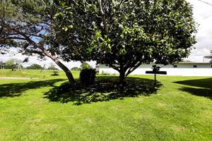 Spencer - jardin