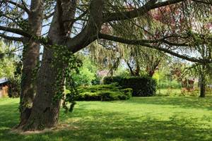 PANO_20220508_120254